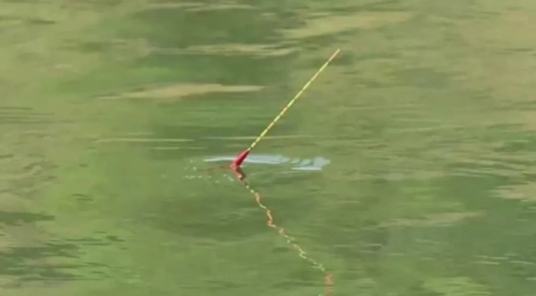 野钓鲫鱼出现这些现象,说明钓得太钝了,可从三个方面调整