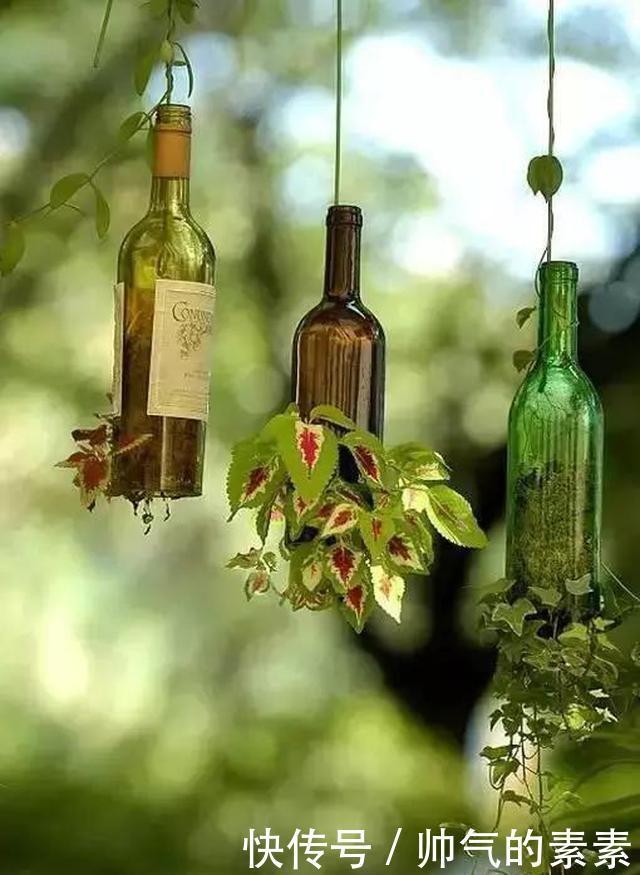 只要脑洞够，万物皆可花盆