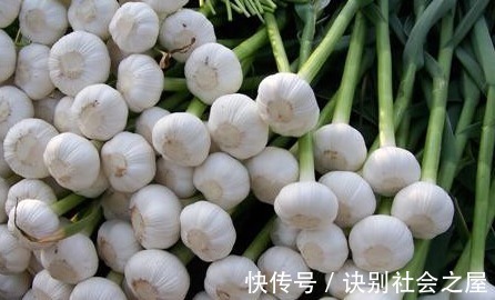 养肝护肝|这4种食物，常吃可以养肝护肝清肝！每天一顿快给你的肝脏洗洗澡