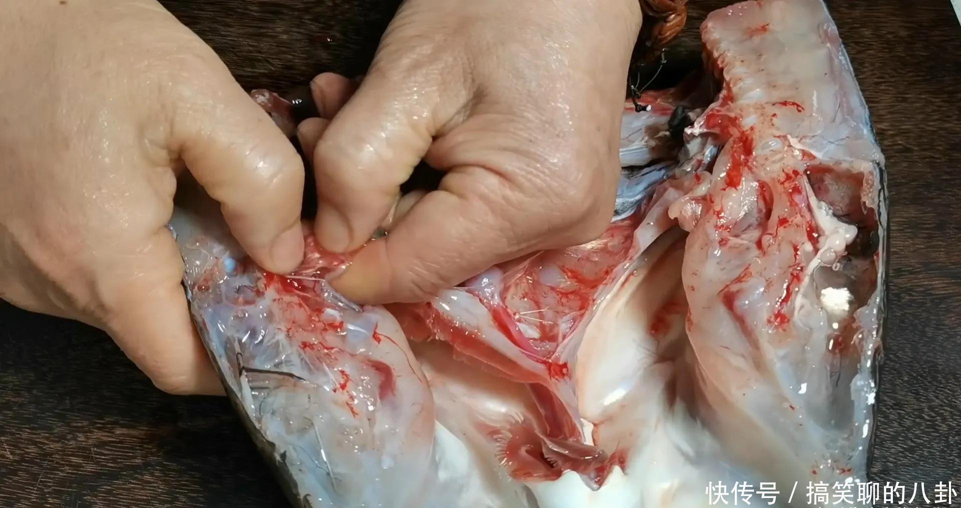 做剁椒鱼头,直接上锅蒸就错了,先做一腌一炒,鱼头鲜香还入味