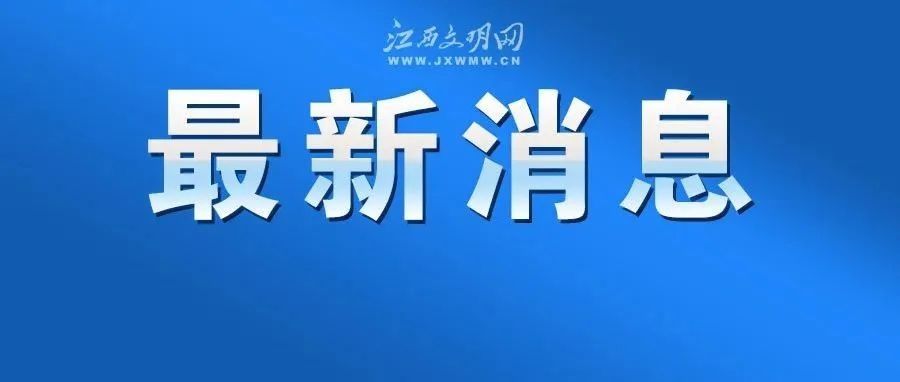 集体婚礼|【出彩市县】万鸟齐飞蔚为壮观