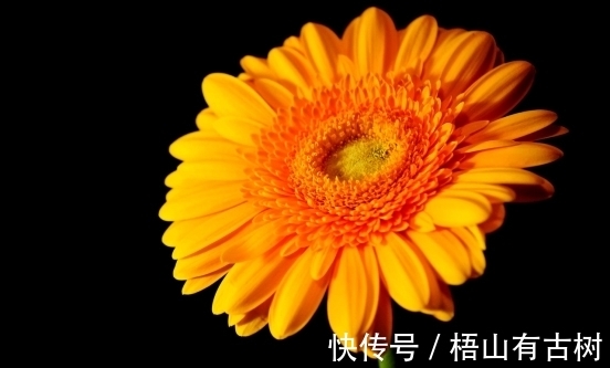 对方|2周后,繁华落幕,爱已成殇,心灰意冷,果断转身,余生两不相欠