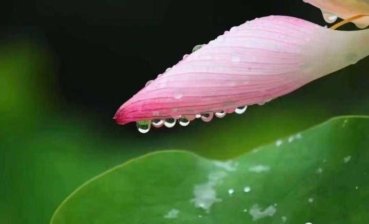 五言绝|「五言绝」好学