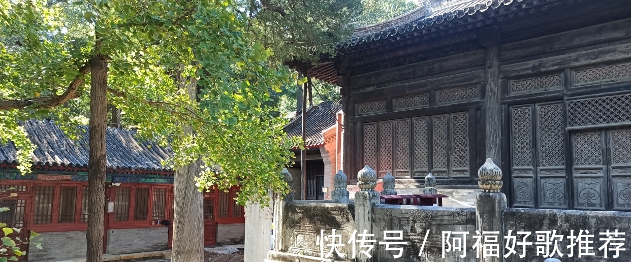 大觉寺|莱芜人在北京：游西山大觉寺