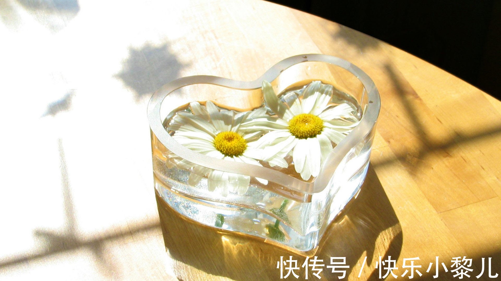 天蝎座|时间不是解药,但时间里藏着解药,这三个星座女,在失恋中重生