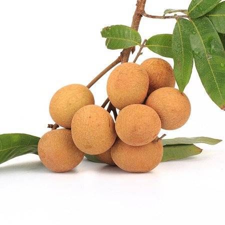 女性常吃这10种食物,补气养血,远离皱纹去斑点,面色红润不显老