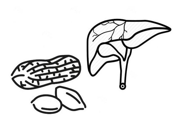 血管健康|血管的“保护伞”已找到,两种“水”,若你爱喝,血管会更通畅
