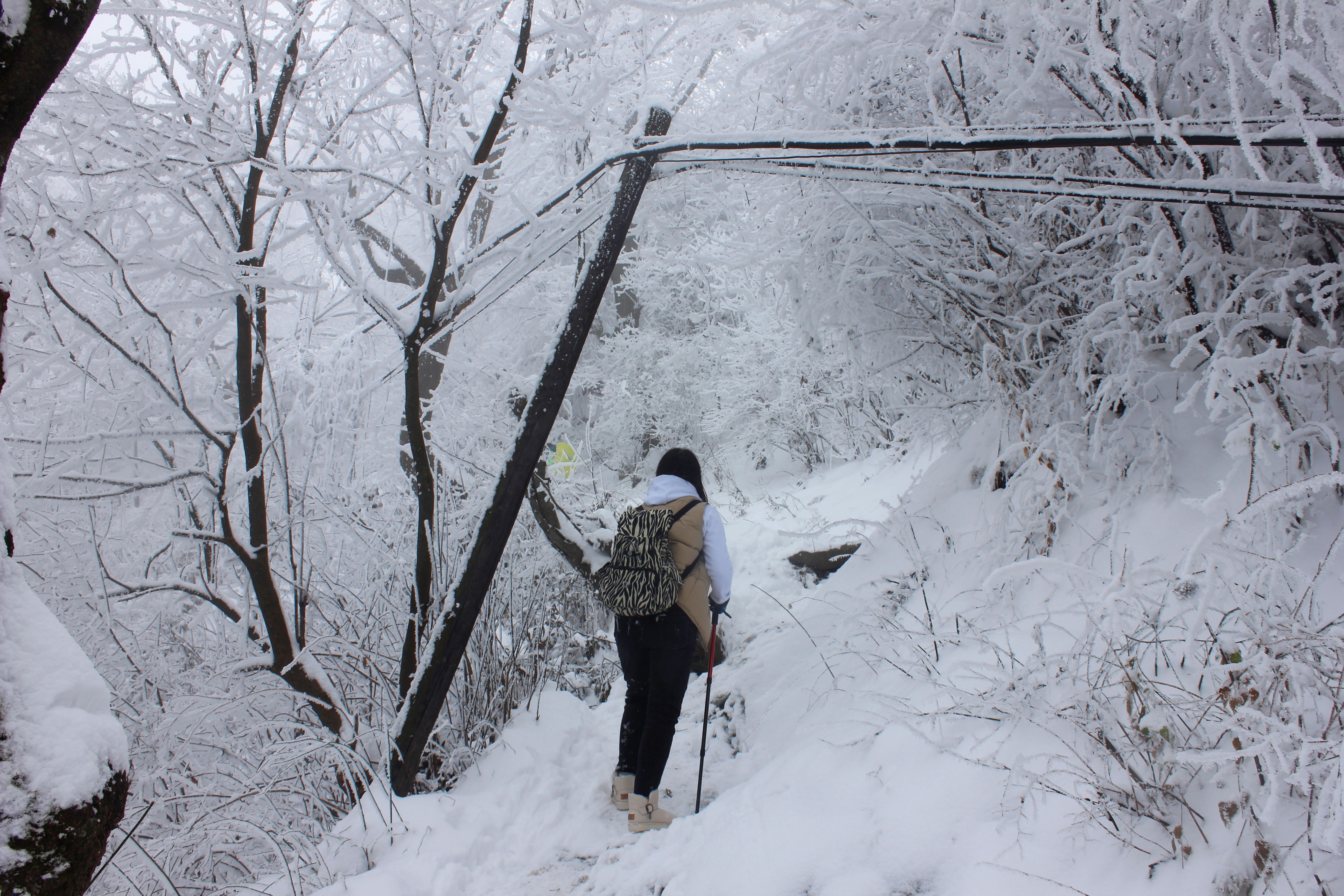 征集|【年末福利征集】雪后南五台幸遇云海