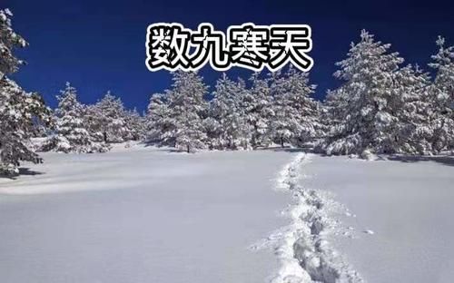 今日进三九，俗语“三九不落雪，脱袄过寒冬”，啥意思？