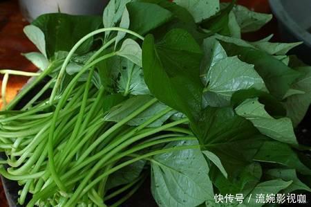 可治|红薯叶的药用价值已经超过人参，可治百病，你们都不知晓吧？
