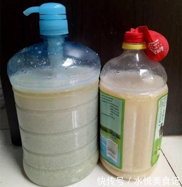 她给吊兰、君子兰喂2种肥,几月长出“萝卜根”,新芽新叶呼呼冒