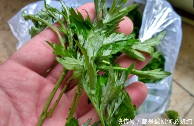 集市有种野菜价格贵过猪肉，农村大姐一上午摘100斤不愁卖