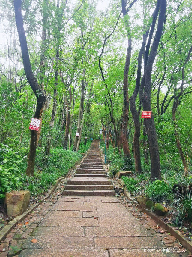 西湖|今天闲来无事，想着去爬爬宝石山，宝石山不高，却是揽赏西湖全景和日出的好地方