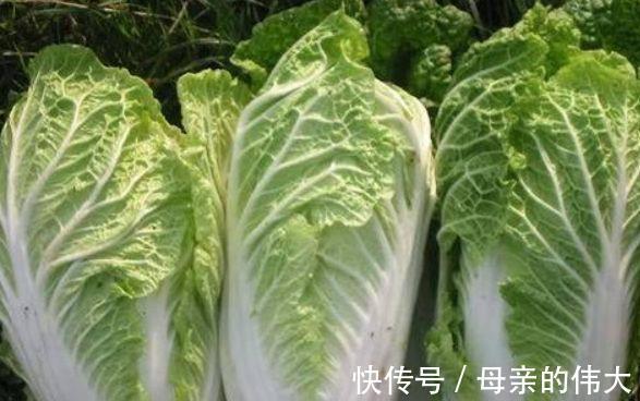 陈医师|女性想要皮肤好,要学会吃三种食物,排毒养颜,增强体质