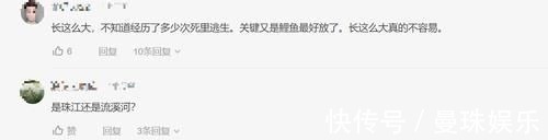 男子珠江钓起“鲤鱼王”,40斤体长超1米,应该放生吗