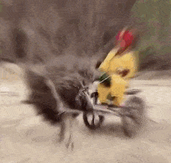 |搞笑GIF:大家的评价是这家店老板娘活儿好!