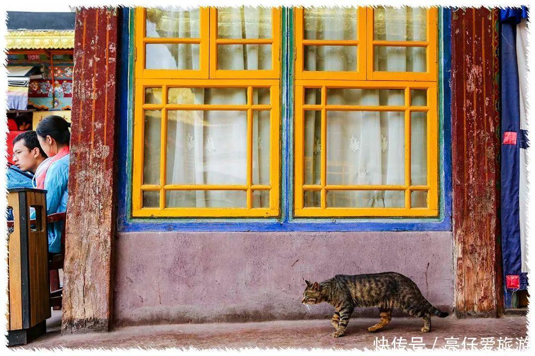 老年|西行漫记·20 大昭寺 拉萨之根