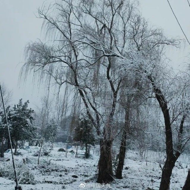 大部地区|被南方的鹅毛大雪刷屏！“断桥残雪”美呆，有人在雪里实现“冰墩墩”自由