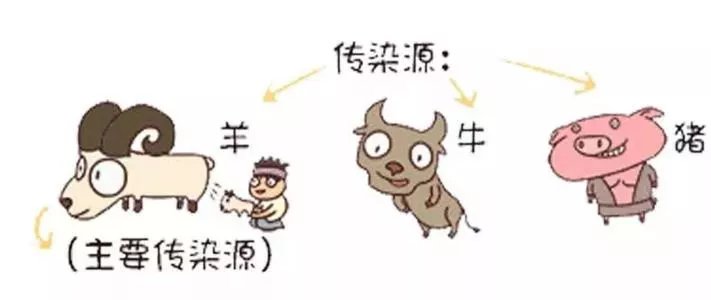 布鲁氏菌|28岁男子发热20多天,吃感冒药也不好转,只因一个拥抱