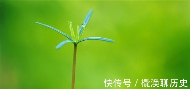 自救#人生逆境时,用这3种方法自救,天不渡人,人自渡