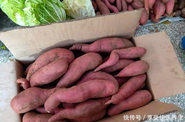 塑料纸|保存红薯有妙招,教你2个小方法,红薯不烂不长芽,越放越香甜!