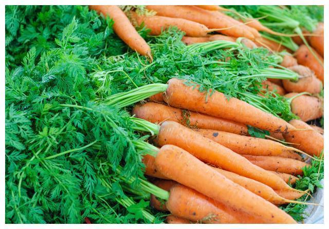 红薯叶|含钙量比牛奶还高的六种蔬菜！经常被你扔掉，营养丰富吃了还补钙