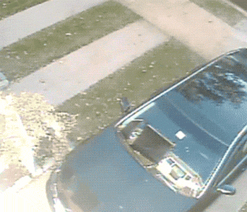 |搞笑GIF段子:狗子:这么多大风大浪都过来了,没想到最后还是翻船了