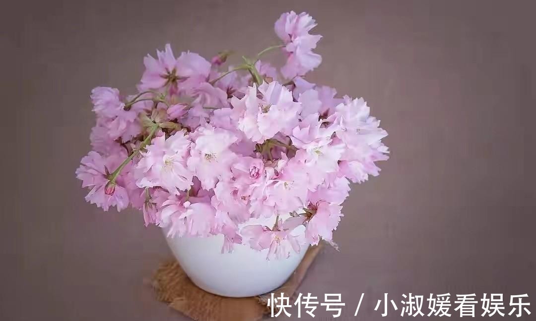 偏心|亲兄弟之间为什么会像“仇人”一样?多半因为这些原因