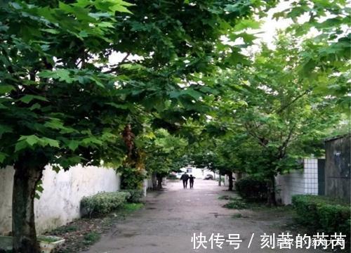 界首|大运河扬州段沿线古镇纪行之四界首“华中雪枫大学”旧址巡礼