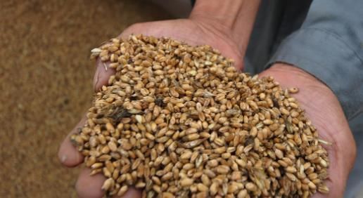 是真的吗|世界公认的最强致癌物,开水都灭不掉,很多人不重视洗洗还在吃!