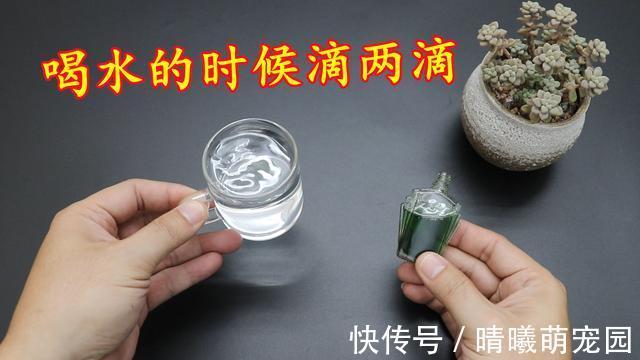 蚊虫|风油精的“值钱作用”，好多人不懂，涨知识了
