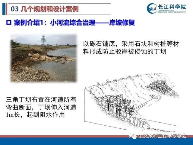 河流|「专家视角」许继军：河流生态修复理念、技术与实践