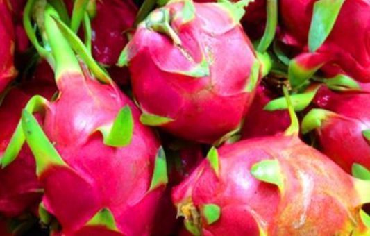 美容养颜|聪明人都在吃3种食物,美容养颜、延缓衰老,身体棒棒哒!