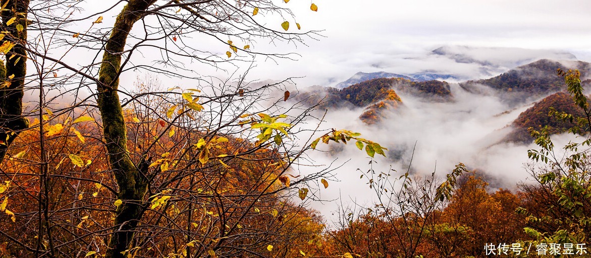 美丽|秋光乍泄 美景成诗 秋日的神农架 一定会惊艳到你