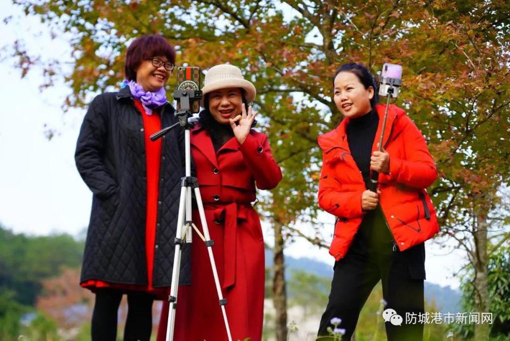 大山国家森林公园|看“枫”景、泡温泉，这个冬天来这里就对了！