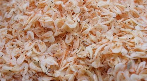 芝麻酱|虾皮、芝麻酱能补钙？这3种食物才是“补钙冠军”，不爱吃也要吃