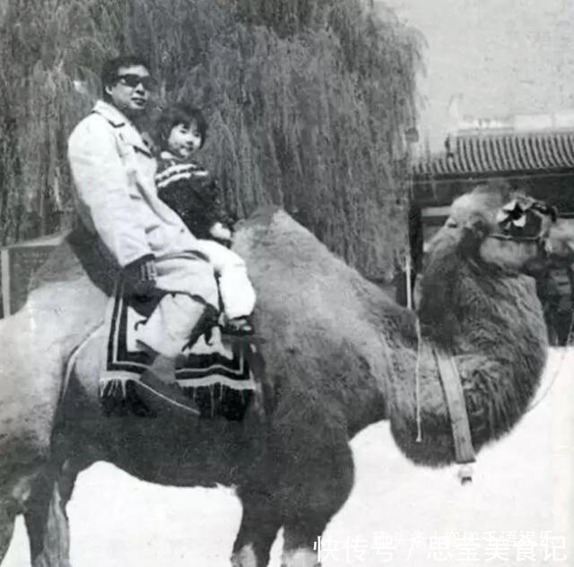 平凡的世界路遥,病危时妻子送来离婚协议,女儿将妻子告上法庭