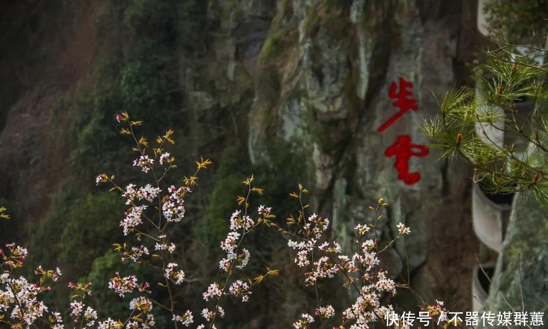 老年|徐凫岩步云谷,这个悬崖边上的房车营地,只需要自驾1小时