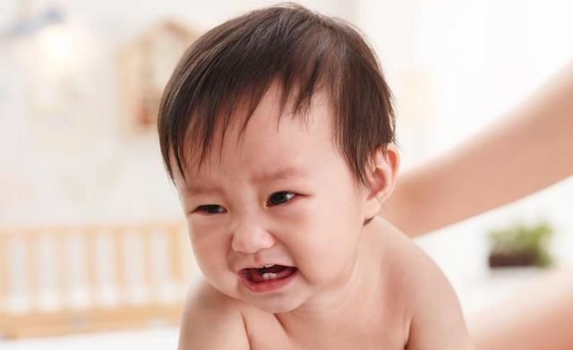 乳制品|断奶没有“最佳”时间,关于断奶,看这一篇就够了!