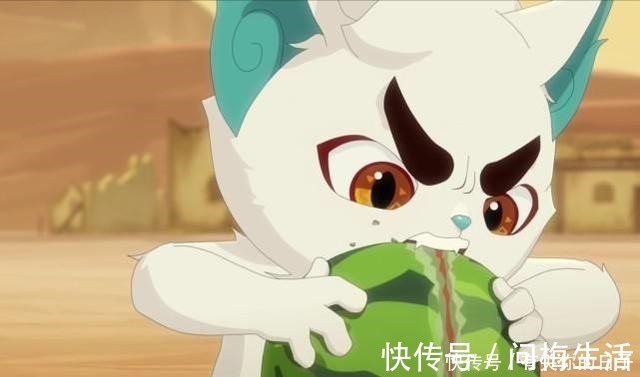 京剧猫|京剧猫吃货白糖也有“不贪吃”的食物,星罗班集体反感