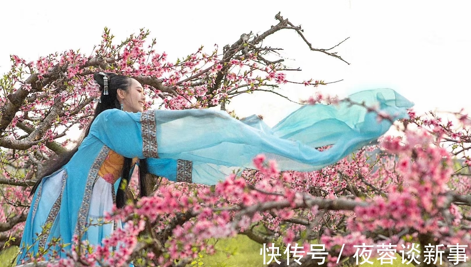 图说#图说故事:依旧舞春风