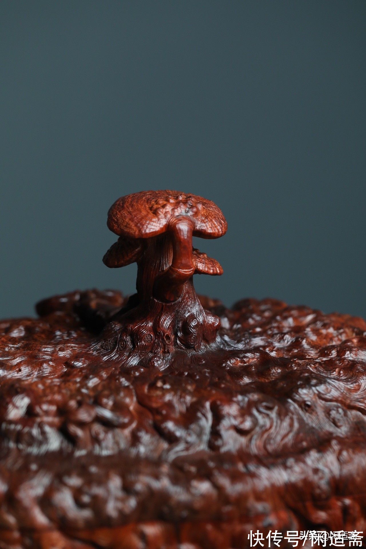 灵芝$茶室清赏，小叶紫檀，满雕灵芝树瘤，大茶仓