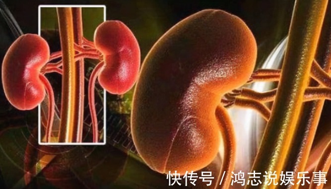 高血压患者|降压药一定要早上吃?医生告诉你最佳的服药时间