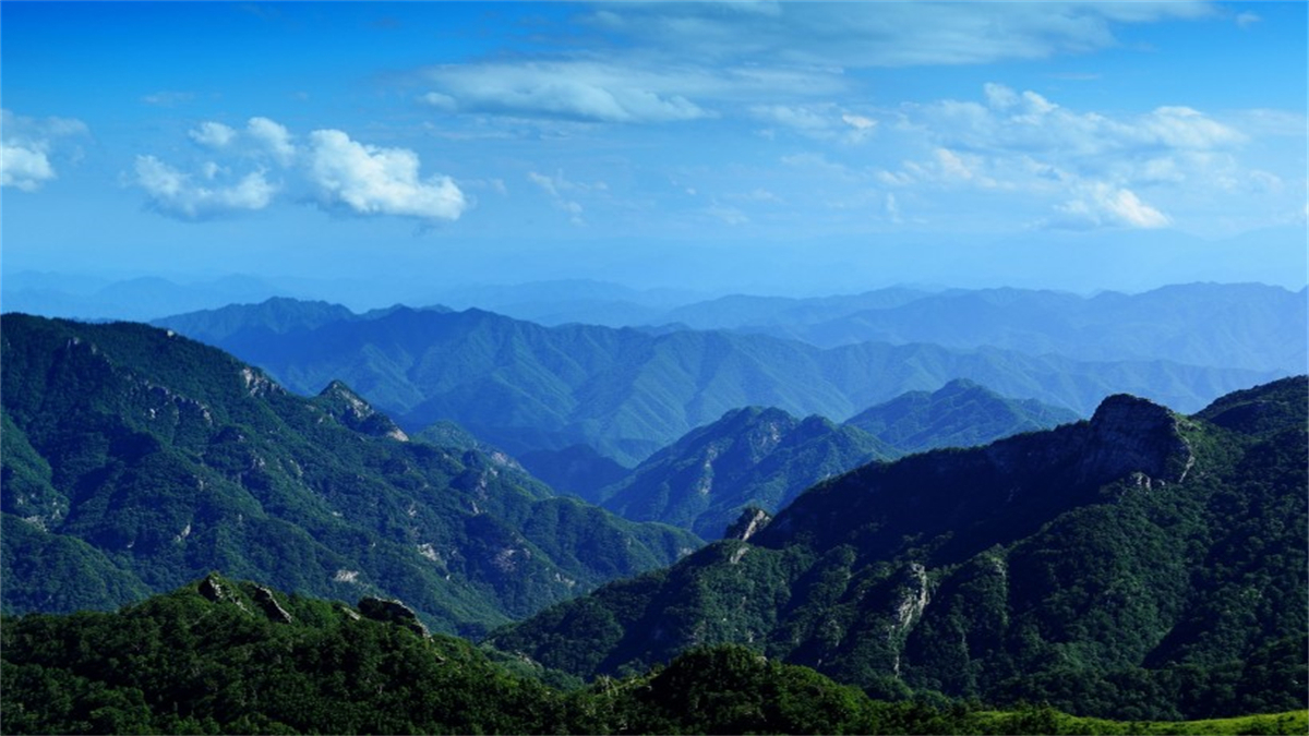 华山|比华山还高700米的光头山草甸，风走云游很惊叹