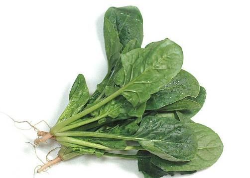 孩子|基因不够食物来凑,多给孩子吃4种食物。孩子个头蹿一蹿!