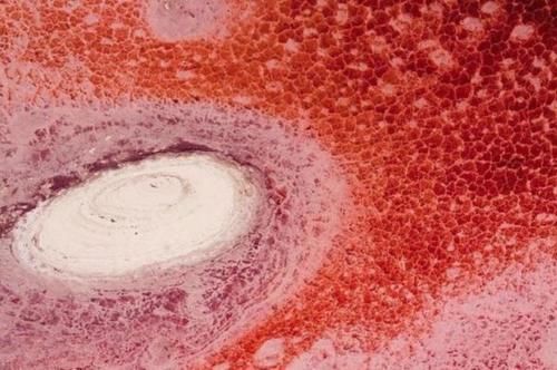 世界上最大的盐山，重达3亿吨，来访的游客需带走一包盐