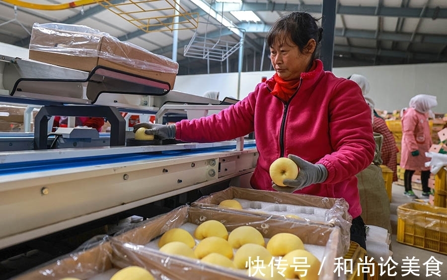 果农们|新鲜苹果成电商市场热宠