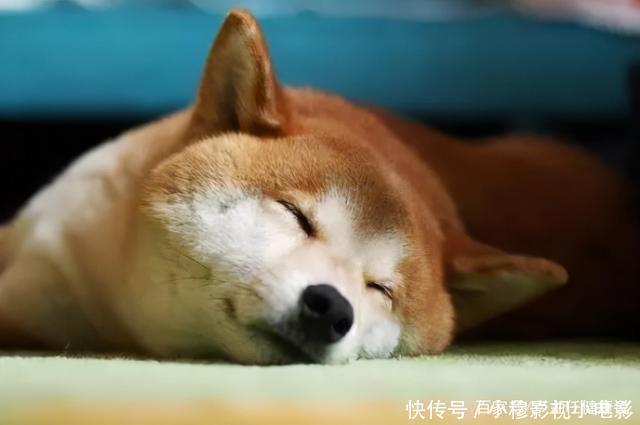 食物|脑梗的“诱因”或被发现,肥肉只能排第四,第一许多人都戒不掉