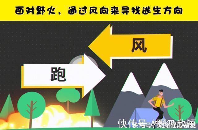 找到你|在不同的情况下，可以挽救生命的7个基本求生技巧