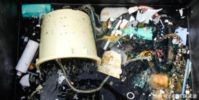 衛星拍下一幕一巨型“浮島”正逼近中國，向全球發出的嚴正警告